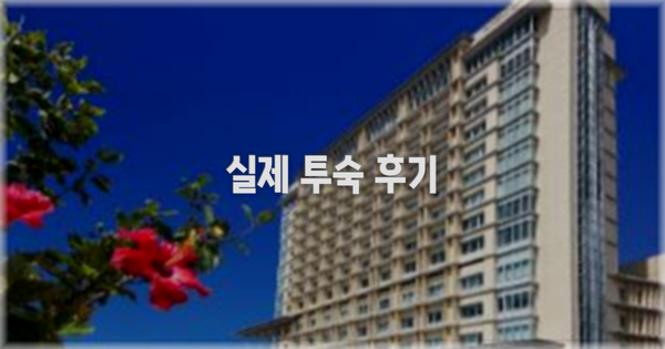 💬 실제 투숙 후기