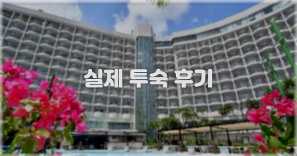 💬 실제 투숙 후기